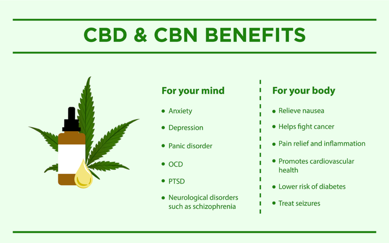 CBD & CBN Benefits Infographic