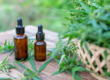 Two cannabis tincture oil bottles with hemp in background