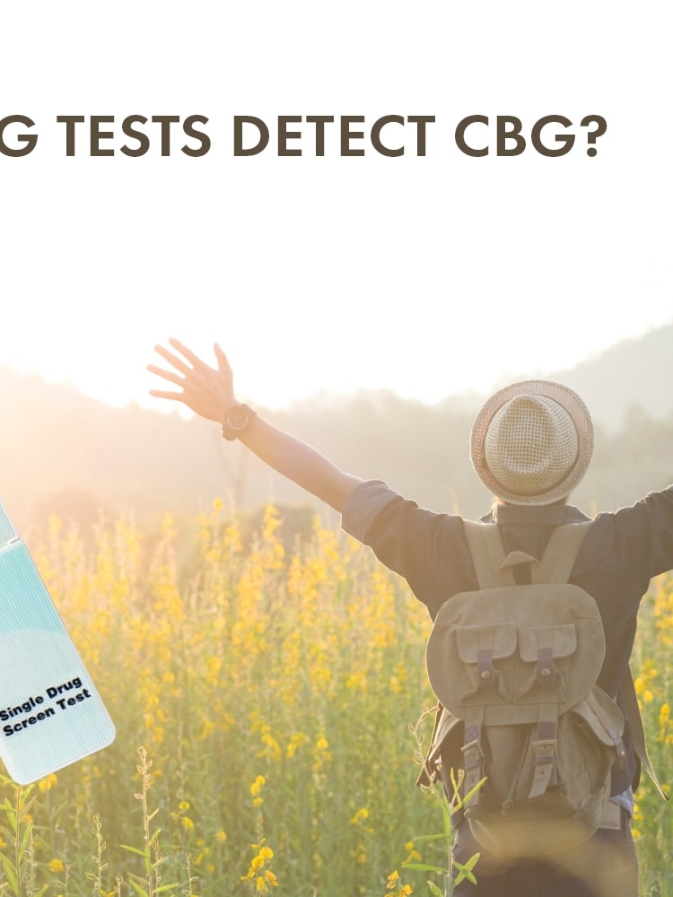 Do drug tests detect CBG?