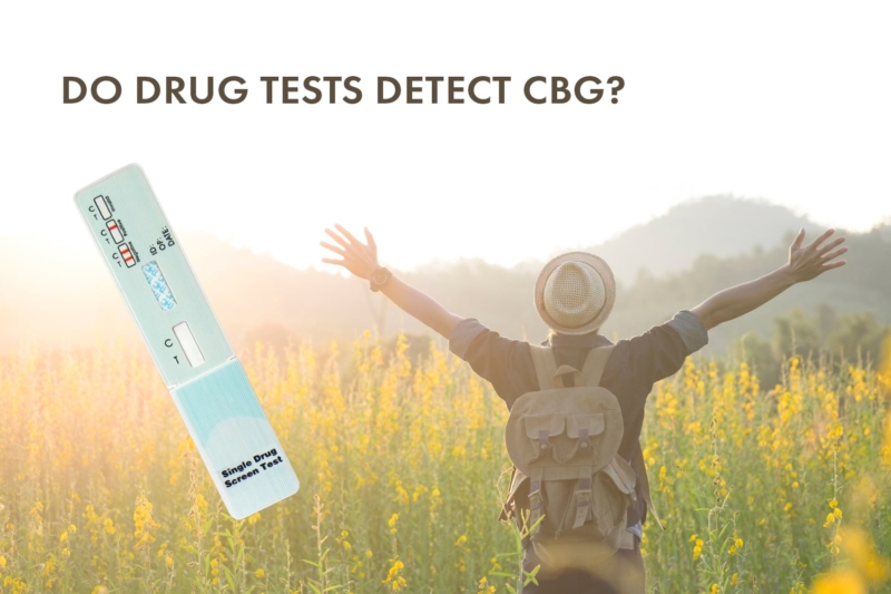 Do drug tests detect CBG?