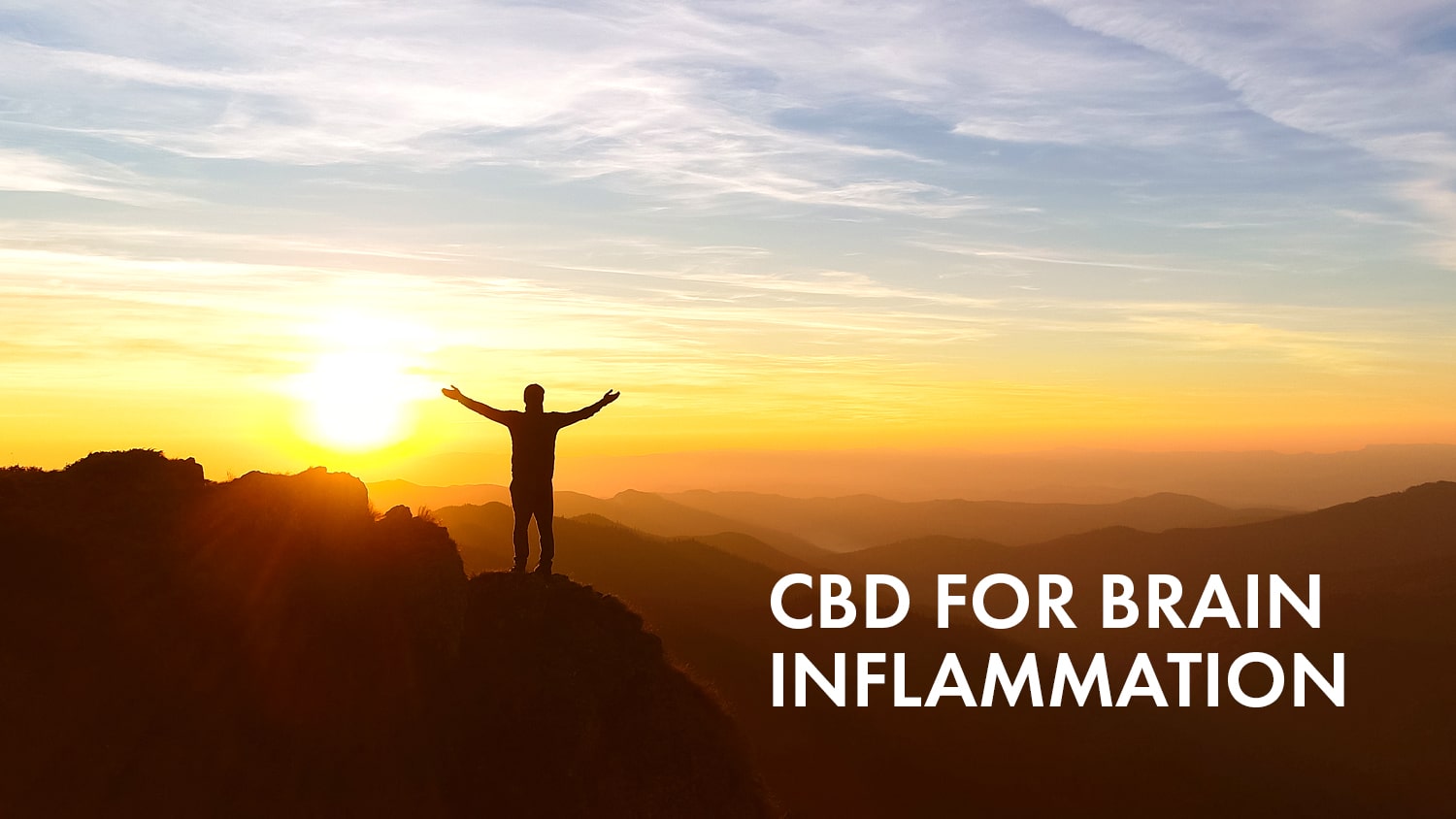 CBD for brain inflammation